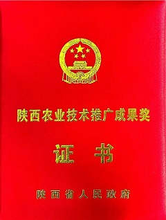 秦衡生態(tài) 2024 年度大事記：砥礪前行，收獲滿(mǎn)滿(mǎn)